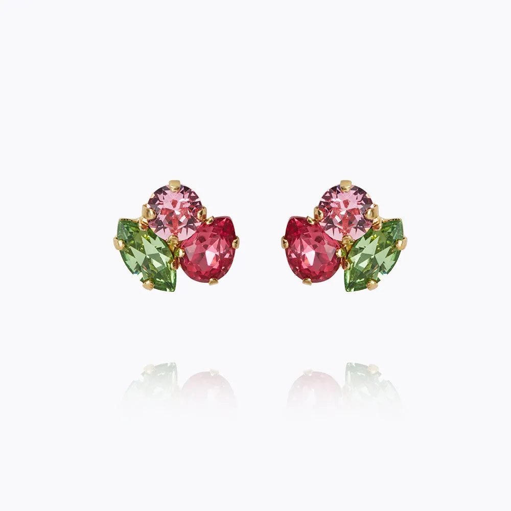 Ana Earrings / Tropicana Combo