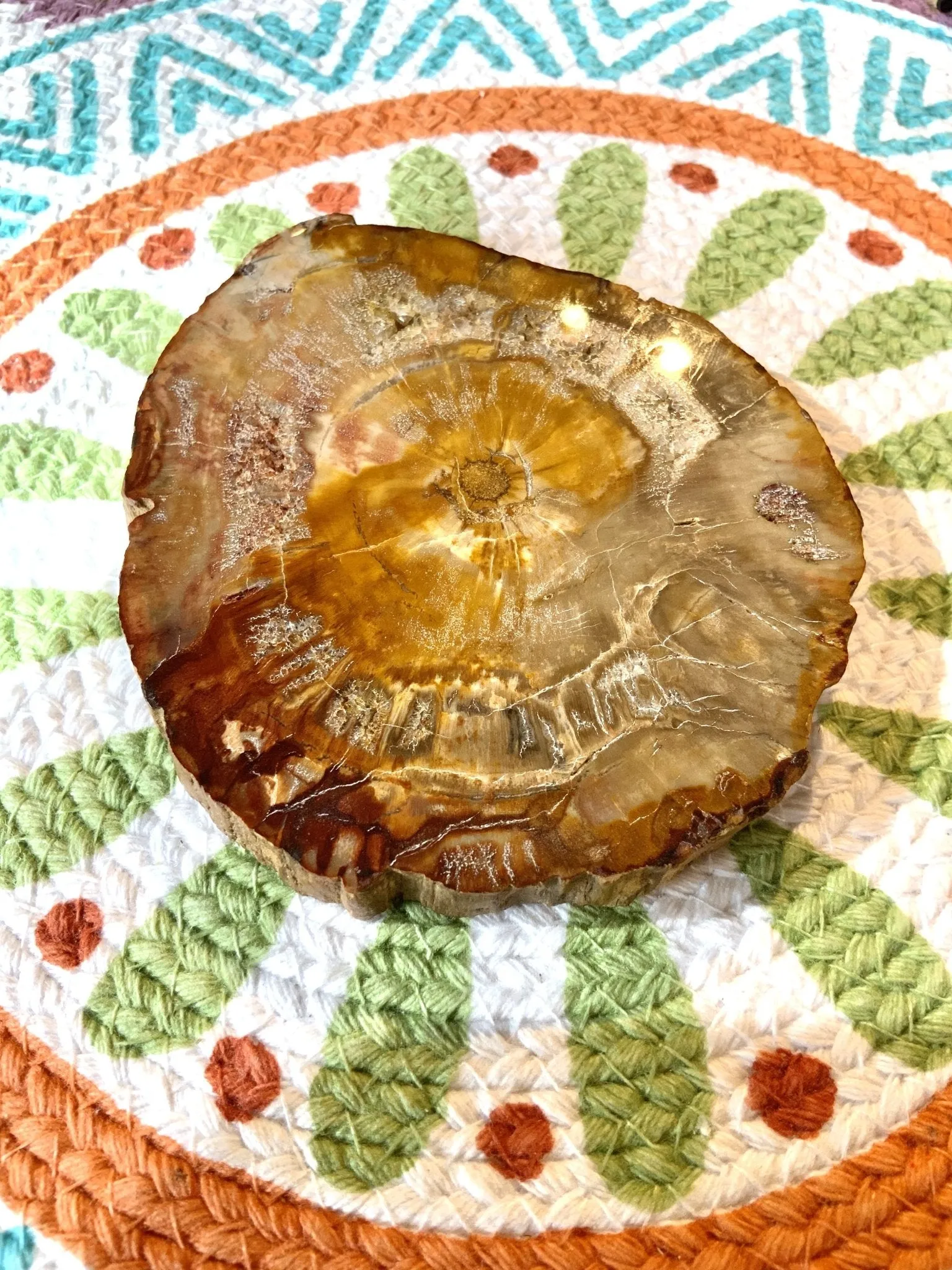 Crystallized Petrified Wood Slice