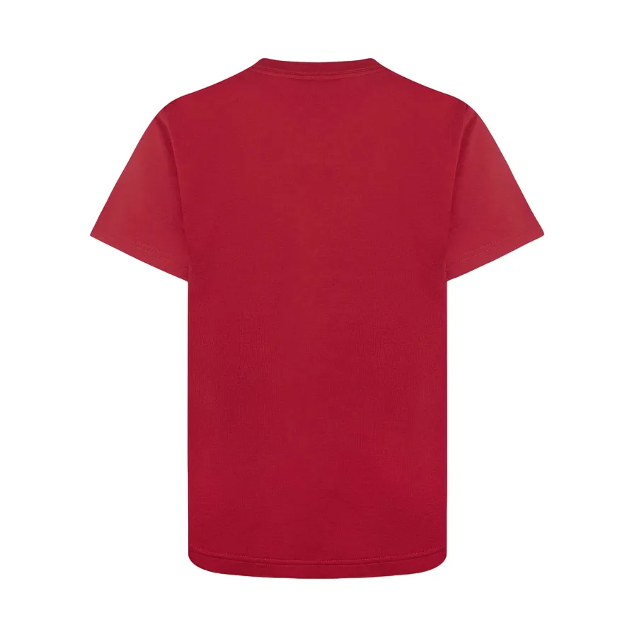 Jordan Jumpman boy's short sleeve t-shirt 95B922-R78 red