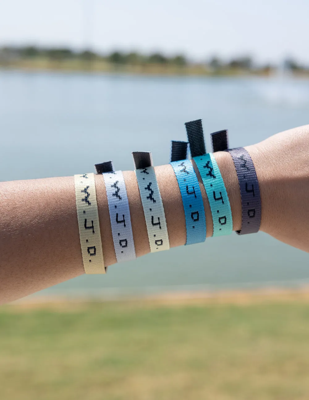 WWJD Surf Bracelet Pack